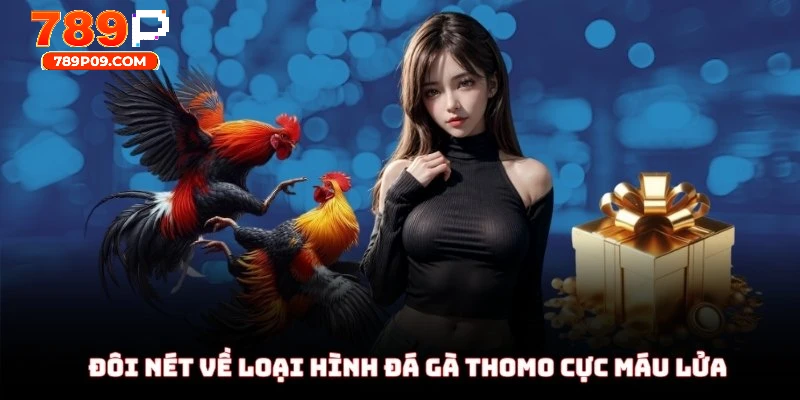 Đôi nét về loại hình đá gà Thomo cực máu lửa