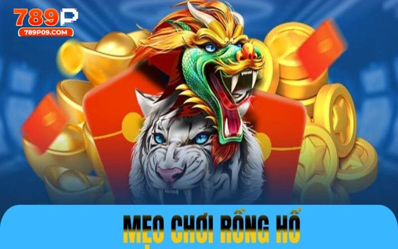 Nói không với việc làm giàu bằng cửa Tie trong rồng hổ 789P